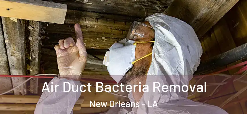  Air Duct Bacteria Removal New Orleans - LA