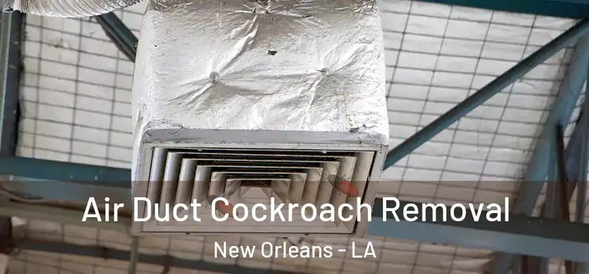  Air Duct Cockroach Removal New Orleans - LA
