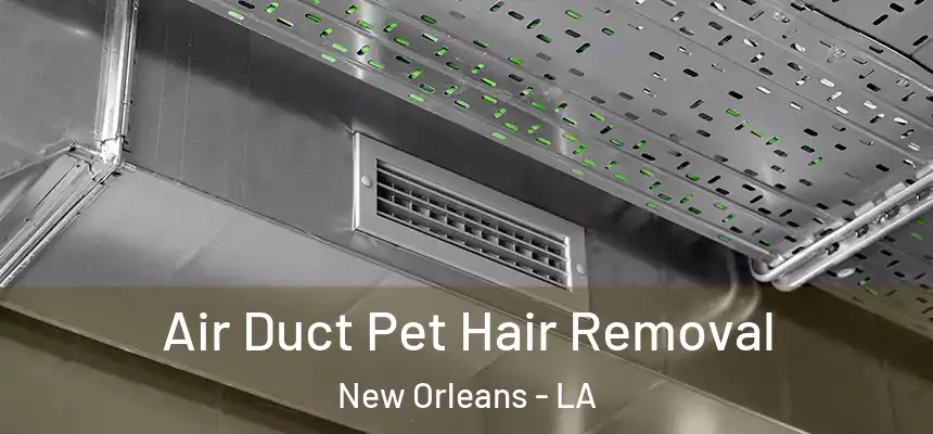  Air Duct Pet Hair Removal New Orleans - LA