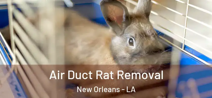  Air Duct Rat Removal New Orleans - LA
