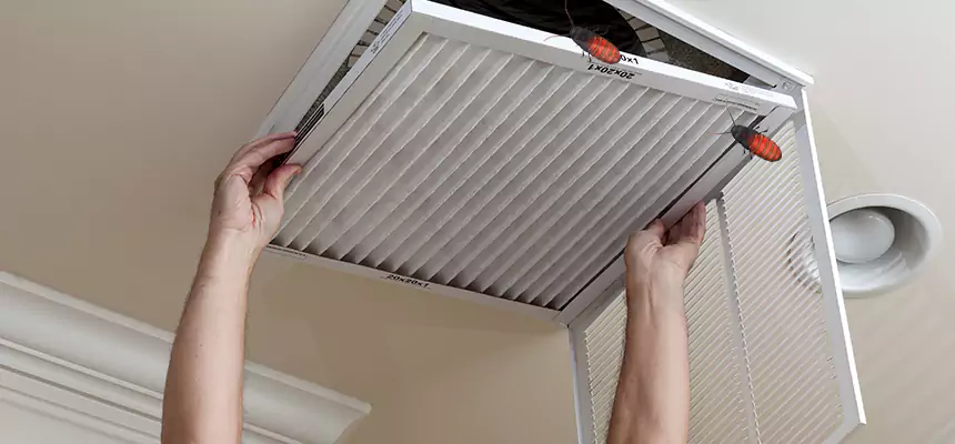 Preventive Cockroach-Proofing for Ducts in New Orleans