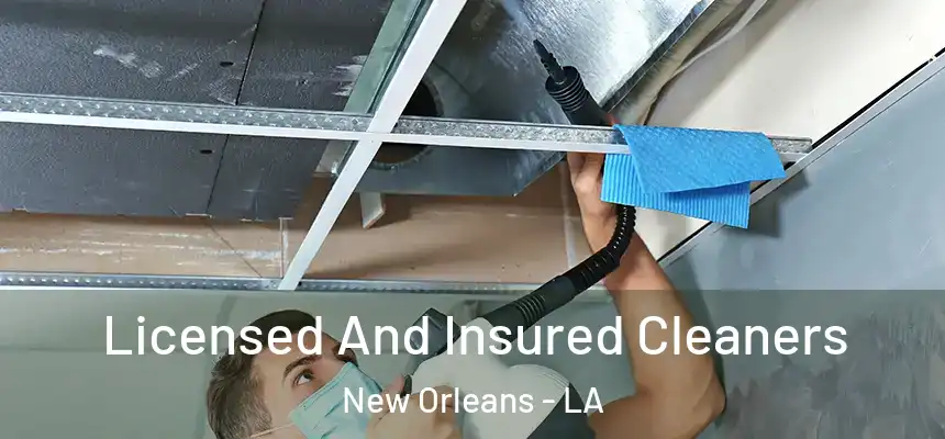  Licensed And Insured Cleaners New Orleans - LA