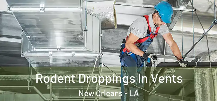  Rodent Droppings In Vents New Orleans - LA