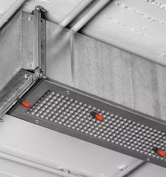 About Air Duct Cockroach Removal in New Orleans, LA