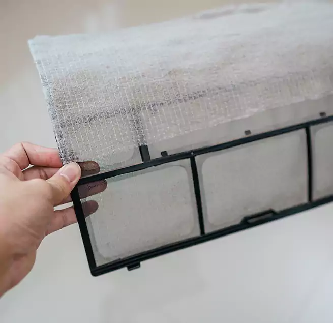 Why Homeowners & Businesses Trust Us in New Orleans, LA?