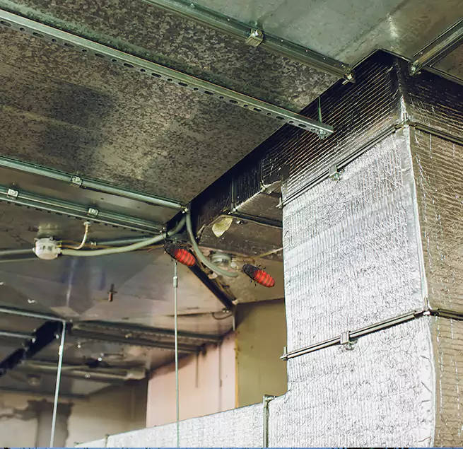 Why Homeowners & Businesses Trust Us New Orleans, LA?